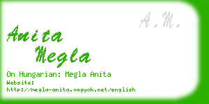 anita megla business card